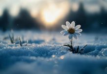 3 березня — День турботи про слух та здоров’я малюків