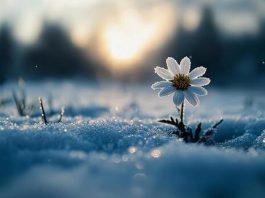 3 березня — День турботи про слух та здоров’я малюків