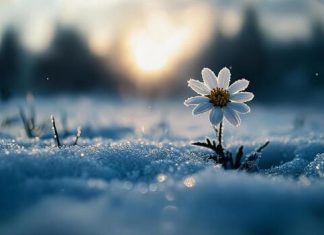 3 березня — День турботи про слух та здоров’я малюків