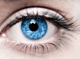 6 березня — Всесвітній день боротьби з глаукомою