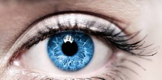 6 березня — Всесвітній день боротьби з глаукомою