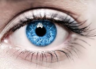 6 березня — Всесвітній день боротьби з глаукомою