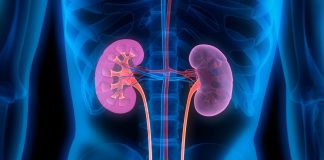 🌏12 березня — Всесвітній день нирки