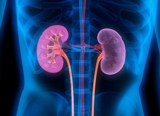 🌏12 березня — Всесвітній день нирки