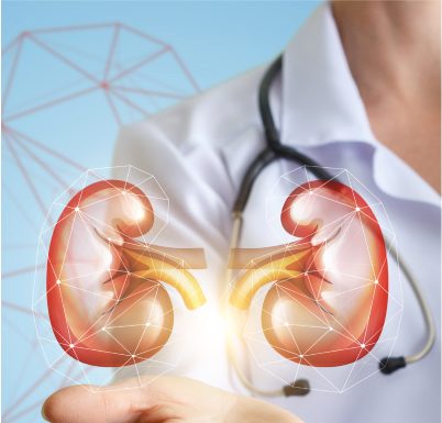 🔬27 Березня — День нефролога