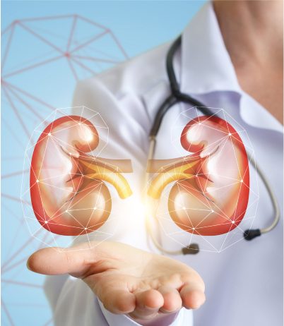 🔬27 Березня — День нефролога