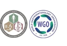 Про міжнародну співпрацю з WGO